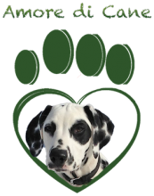 amore di cane-rid